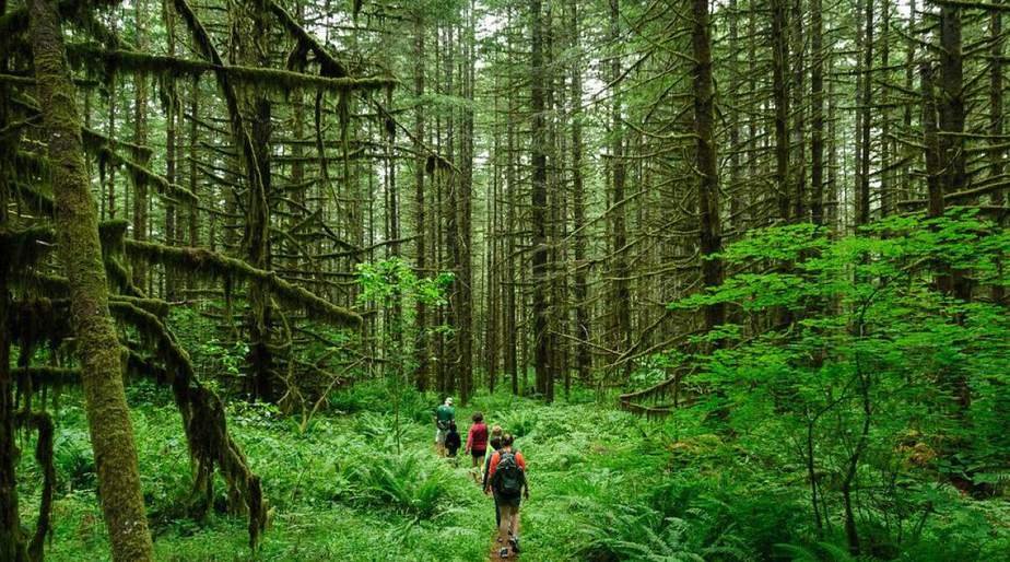 ecotourism