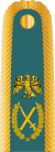 Nigerian Amy Field Marshal Insignia