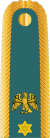 Nigerian Army Lieutenant Colonel Insgnia