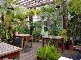 Orchid Bistro Cafe, 라고스 본토
