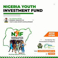 如何申请尼日利亚青年投资基金