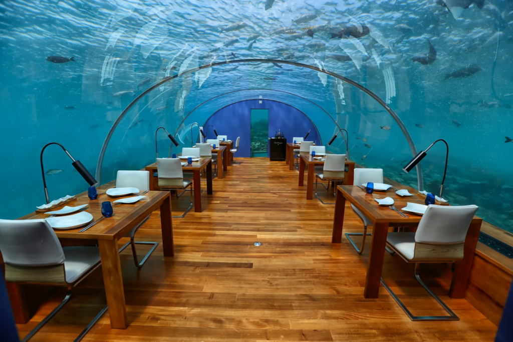 Ithaa Denizaltı Maldivler restoranı