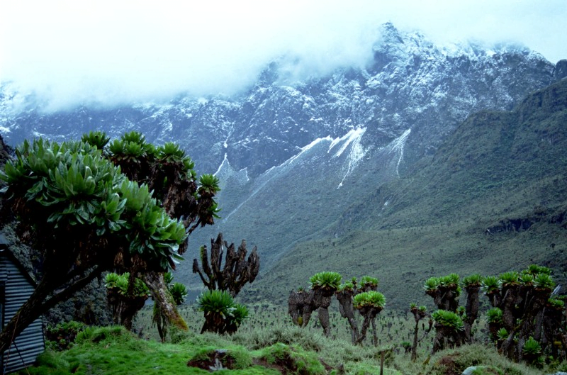 Pegunungan Rwenzori