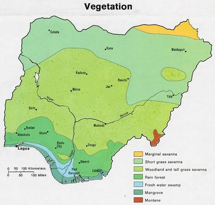 Nijerya'daki farklı bitki örtüsü bölgeleri.