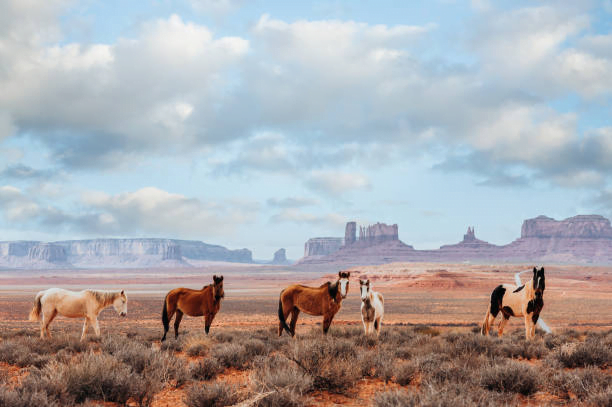 Places To Visit In The US In Winter