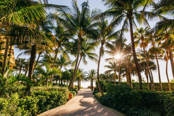 Fun Facts About Florida