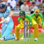 Fun Facts About Cricket