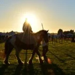 Top Things To Know Before Travelling To Kentucky Derby 150 10 AtlanticRide