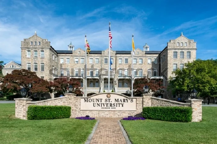 Saint Mary's University