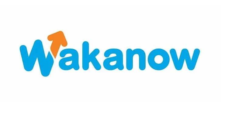 10 Top Travel Agencies In Nigeria To Help You With Travel 1 Wakanow is one the traveling agents in Nigeria