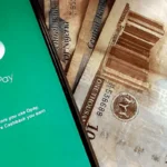 opay net worth