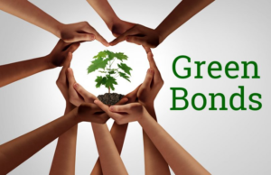 Green Bonds: Investing in Sustainability