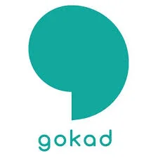 Gokada dispatch rider company